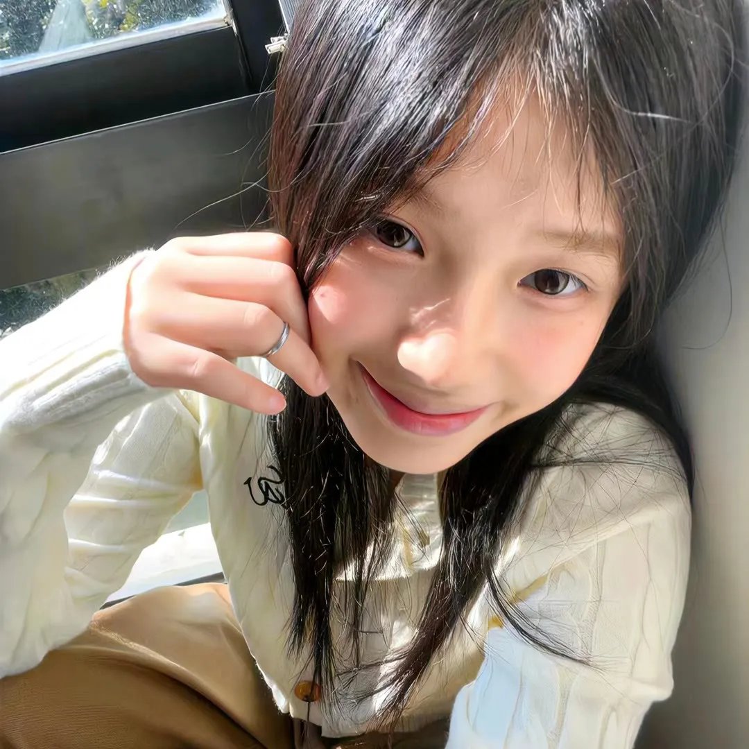 菜鸟总动员